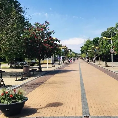 Simpsono G Lux 412 With Parking *