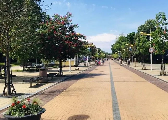 Simpsono G Lux 412 With Parking *